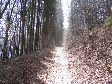 Trasse der Werksbahn