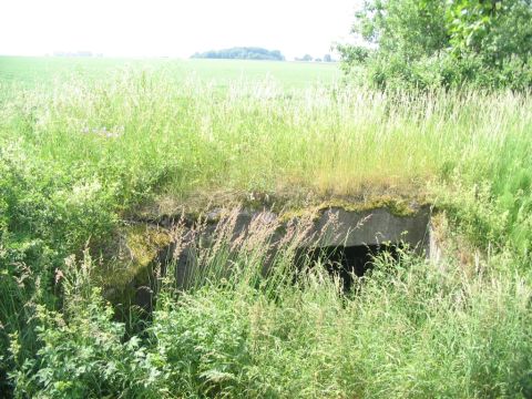 Brcke ber den Mollbach