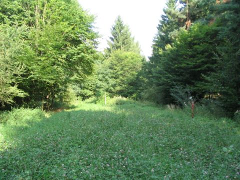 Sdportal des alten Freienseener Tunnels