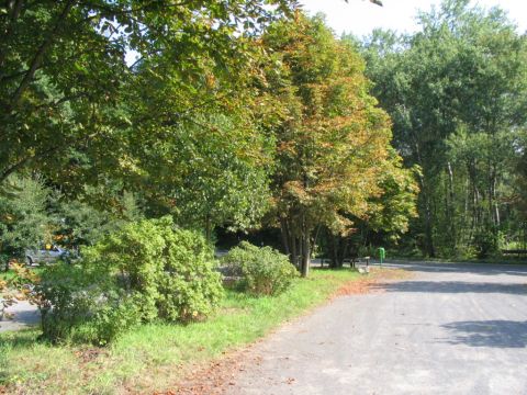 Haltepunkt Laubacher Wald