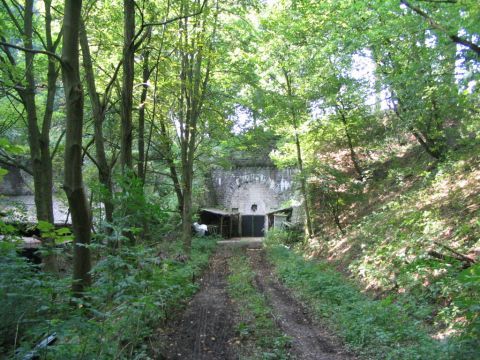Nordportal des alten Freienseener Tunnels