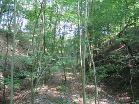 Sdportal des alten Freienseener Tunnels