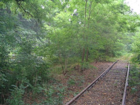 Doppelbrcke Nidda 1