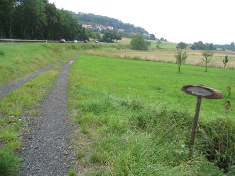 Zwischen Eichelsdorf und Rainrod 1