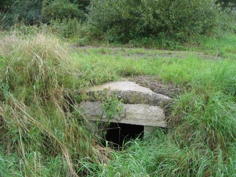 Zwischen Eichelsdorf und Rainrod 2
