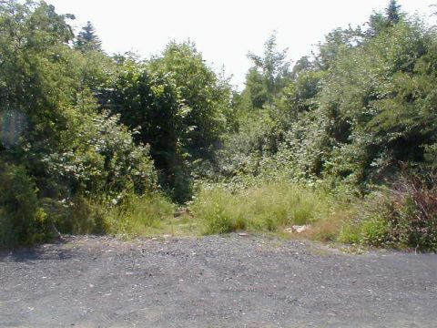 Bahnbergang zwischen Lohfelder Weg und Kastanienweg