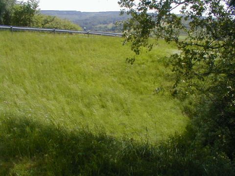 Ehemalige Brcke der Strae von Velmeden nach Rommerode