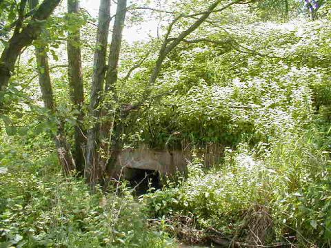 Brcke ber einen Bach