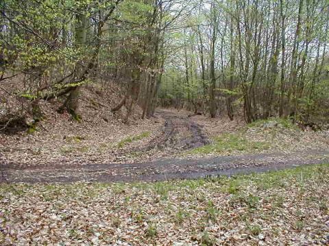 Bahnbergang ber einen Forstweg