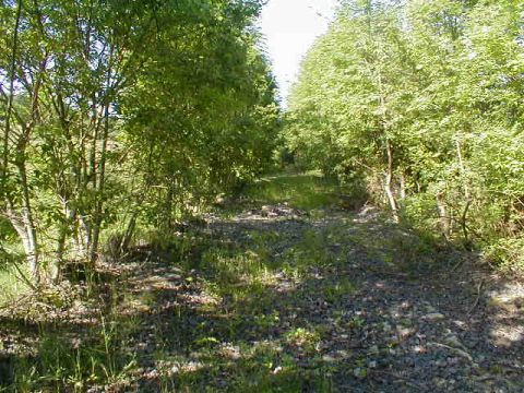 Zwischen Laudenbach und dem Albsliede-Tunnel