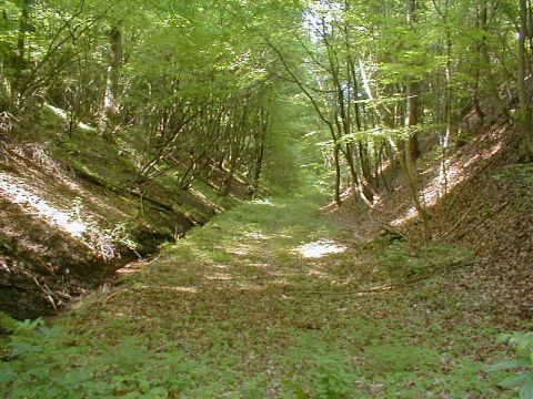 Hinter dem Albsliede-Tunnel