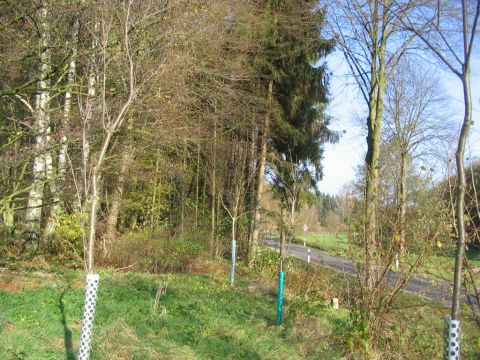 Ehemaliger Bahnbergang ber die Strae nach Duderstadt