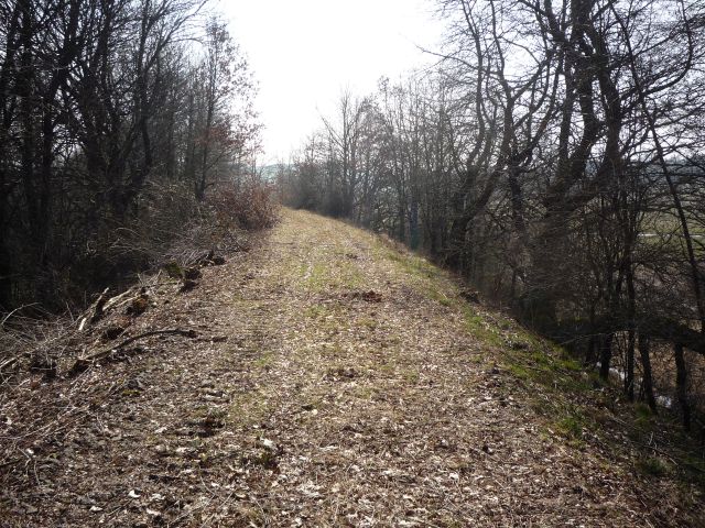 Brcke ber den Dommersbach