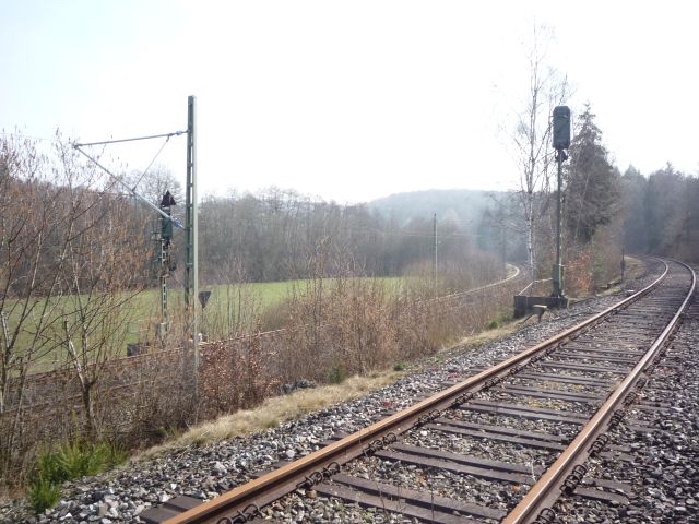 Signal Trkismhle