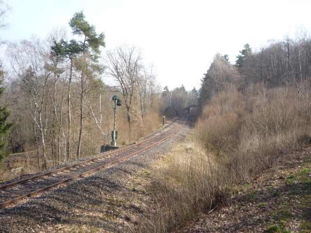 Signal Trkismhle