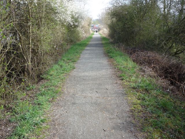 Zwischen Erlenbach und Otterberg