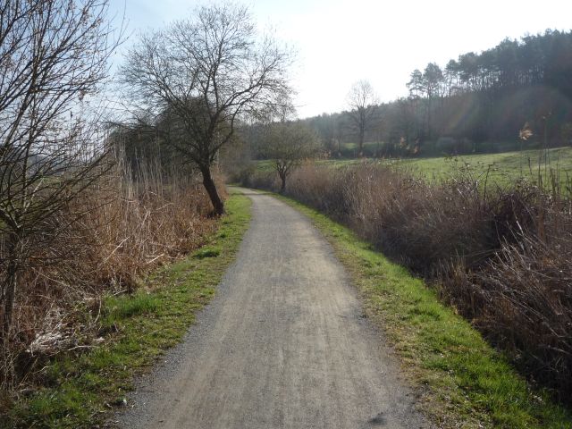 Zwischen Otterbach und Erlenbach