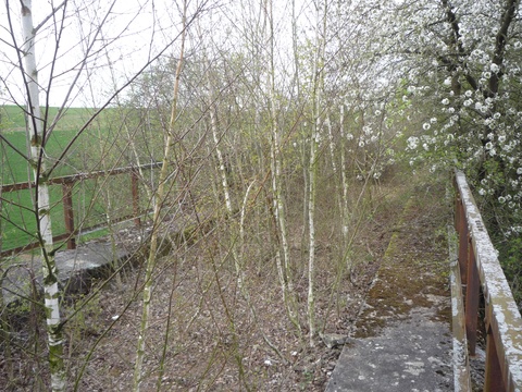 Brcke