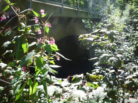 Brcke ber den Speyerbach