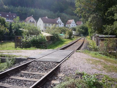 Bahnbergang zwischen Esthal und Erfenstein