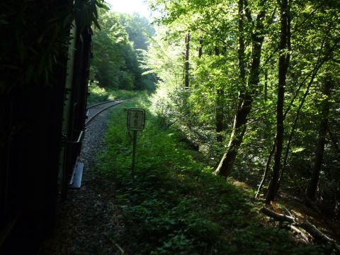 Zwischen Esthal und Erfenstein