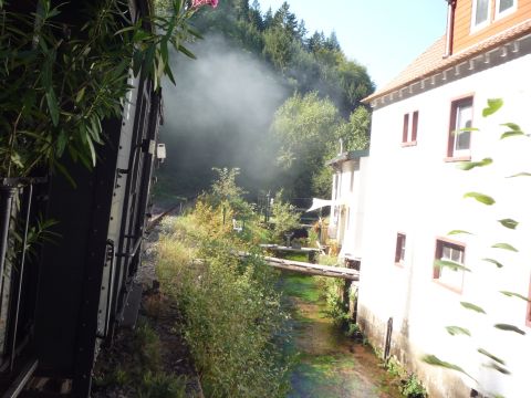 Zwischen Helmbach und Elmstein