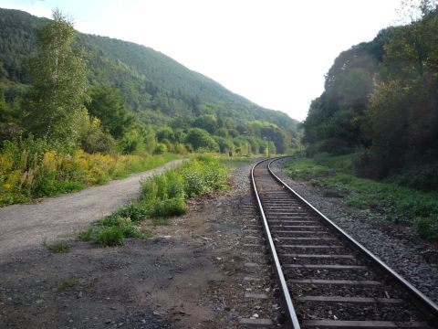 Zufahrt zum Gterbahnhof Lambrecht