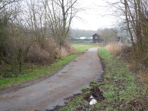 Zwischen Heuchenheim-Klingen und Klingenmnster