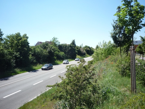 Brcke ber die Kardinal-Wendel-Strae