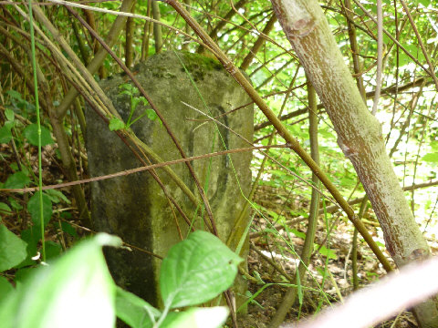 Kilometerstein