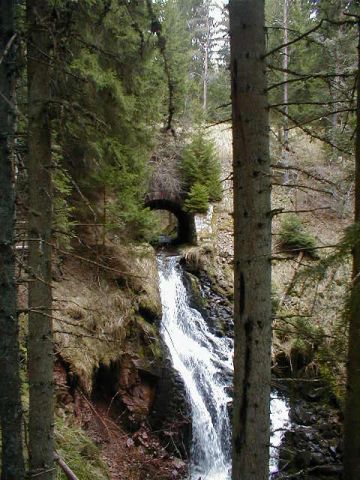 Auslass des Bachs