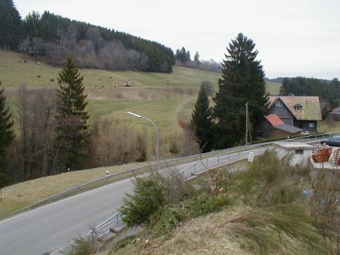 Blick ber die Hasslach in Richtung Kappel