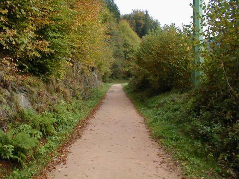 Zwischen Schlechtnau und Todtnau