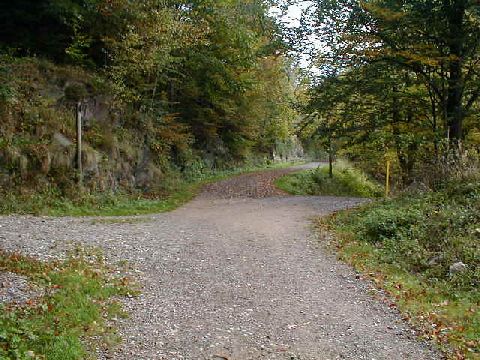 Zufahrt nach Todtnau