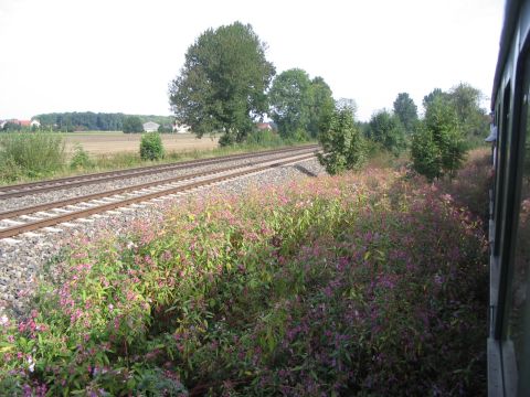 Ausfahrt aus Warthausen