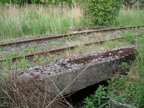 Schussenkanalduchlass beim Holzhof