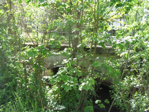 Brcke ber die Kanzach