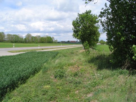 Trasse neben der Strae Bad Schussenried - Buchau