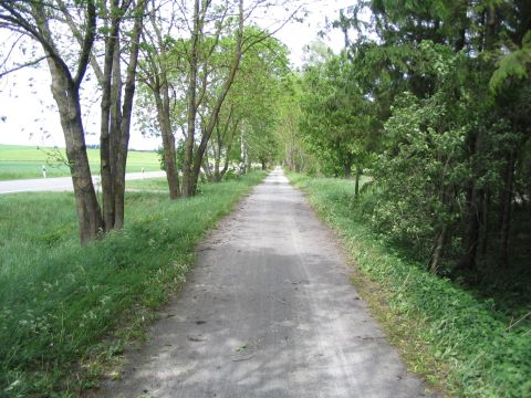 Trasse neben der Strae Bad Schussenried - Buchau
