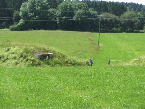 Brcke ber die Strae bei Furtenwies