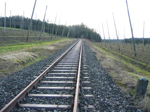 Hinter Habacht