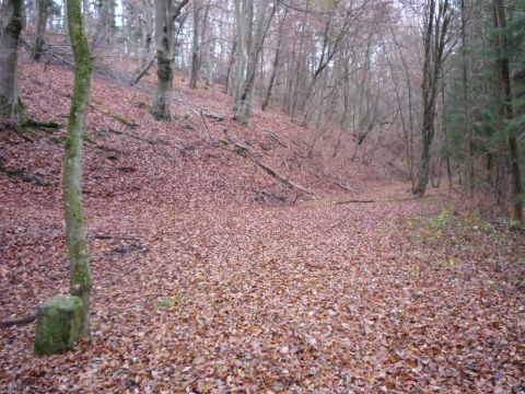 Haltepunkt Grfenhausen