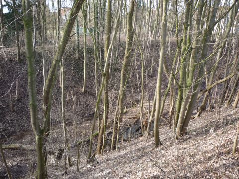 Zwischen Bahnwrterhaus und Wilhelmshof