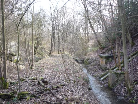 Quellfassungen