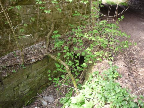 Brcke ber einen Feldweg