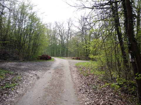 Bahnbergang zwischen Eichelberg und Elsenz