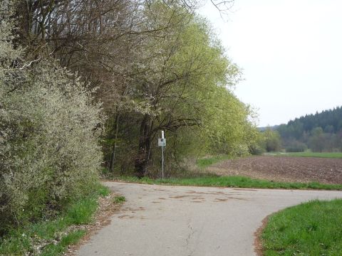 Zwischen Odenheim Ost und Tiefenbach