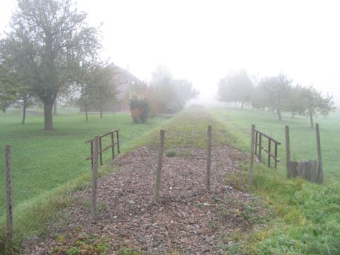 Brcke bei Neufrach