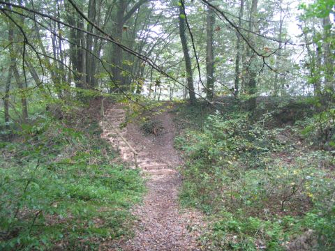 Einschnitt zwischen Mimmenhausen und Salem