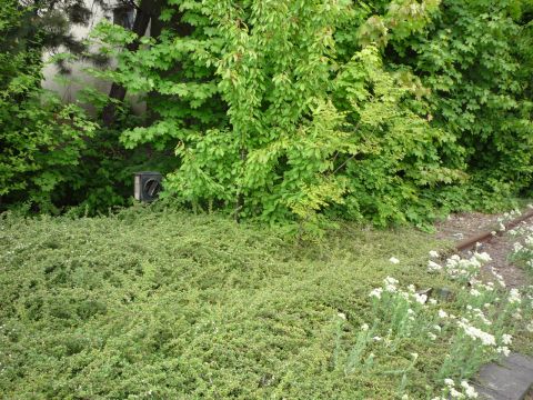 Abzweig Firma Aulfinger und Schlachthof